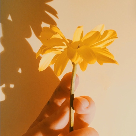 Meet your Posher, Alexis - Picture 1 of 1